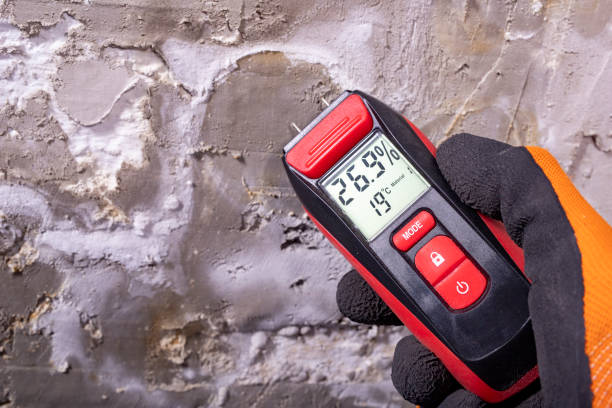Best Emergency Mold Removal  in Mccoll, SC