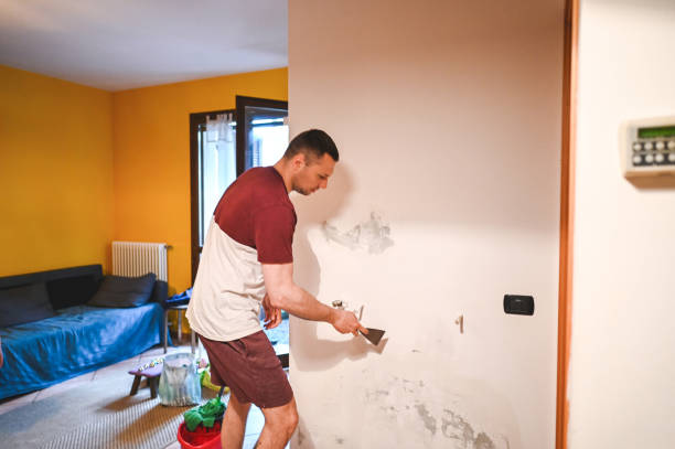 Best Fast Mold Removal  in Mccoll, SC